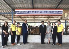 “ทำบุญ 1 ได้ถึง 2 ชีวิต” 2 สมาคมสื่อ ทำบุญไถ่ชีวิตโคท้องแก่ มอบแก่สมาคมประชาคมคนตาบอดไทย