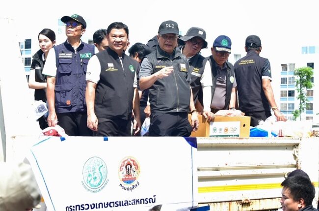 กยท. ร่วมติดตาม รมว.เกษตรฯ ลงพื้นที่เคหะชุมชนออเงิน มอบถุงยังชีพ-ส่งกำลังใจผู้ประสบภัยน้ำท่วม